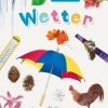 Spielzeug Dorling Kindersley | Naturfuhrer Fur Kinder - Wetter