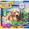 Spielzeug Ravensburger | Malen Nach Zahlen Hund Und Katze