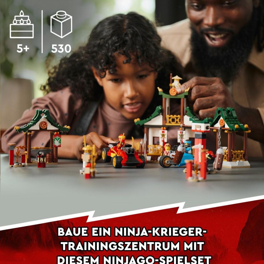 Spielzeug LEGO | Lego Ninjago 71787 Kreative Ninja Steinebox