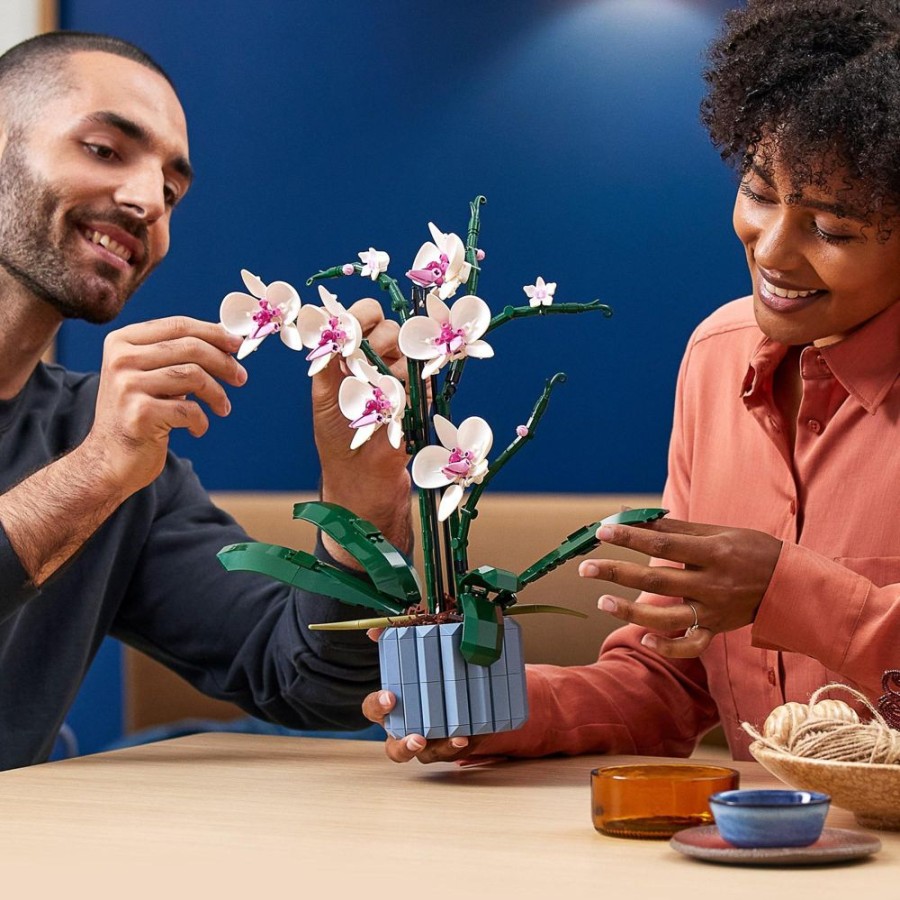 Spielzeug LEGO | Lego Orchidee