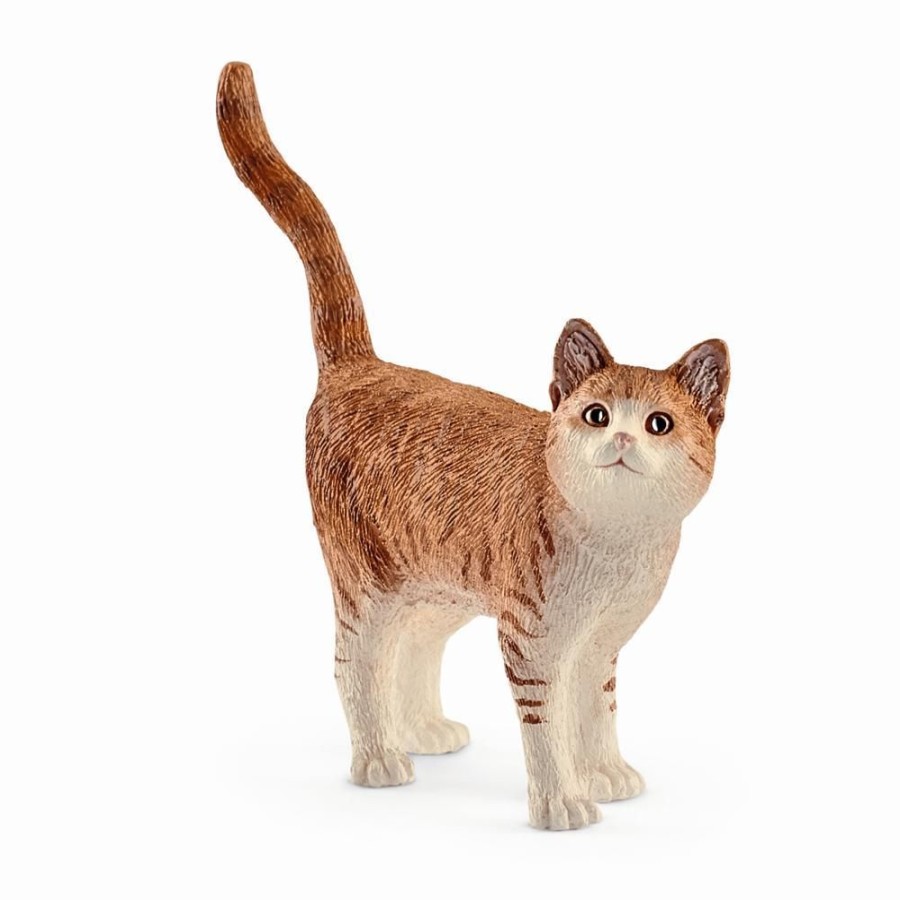 Spielzeug Schleich | Schleich 13836 Katze